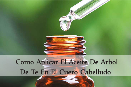 como aplicar el aceite de arbol de te en el cuero cabelludo