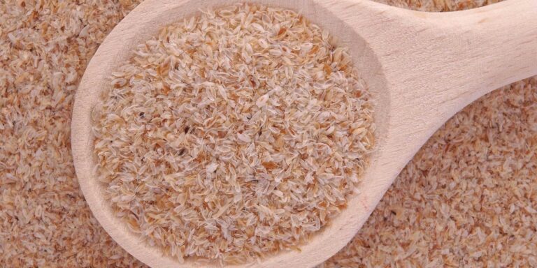 Beneficios científicamente probados de Psyllium (cáscara, polvo y cápsulas)