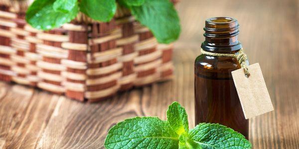 Usos y beneficios comprobados del aceite de menta respaldado por estudios médicos